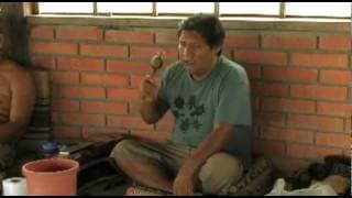 THE SHAMAN & AYAHUASCA: Journeys to Sacred Realms