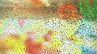 flowing soil and other forms (excerpt)
