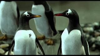 International Trailer 2