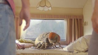 Official Trailer