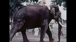 Mysore - Farming Scenes, Dussehra Festival and Mysore Zoo [Excerpt]