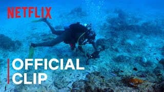 Official Clip
