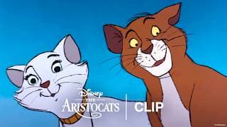 The Scat Cat Club - Official Clip