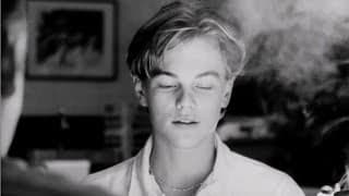 Leonardo Dicaprio Don's Plum