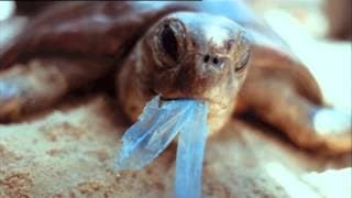 1. Bande Annonce "Océan de plastique"