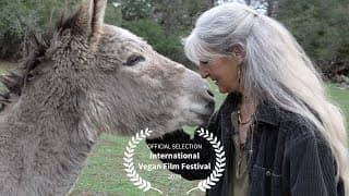 A Quest for Compassion