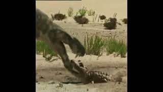 Walking With Monsters Trailer