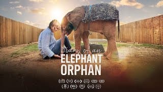DIARY OF AN ELEPHANT ORPHAN Official Trailer