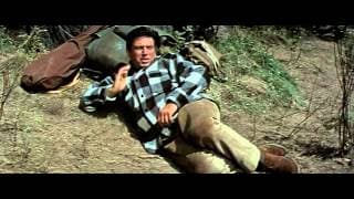 My Side of the Mountain - Trailer