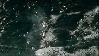 THE DARK (2005) Trailer