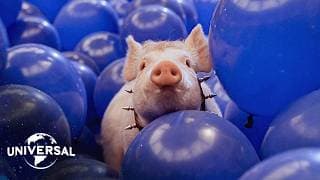 The Big Blue Balloon Escape