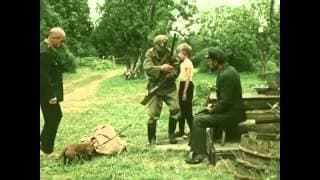 Laanetaguse suvi (1980) - Eesti lastefilmide sari