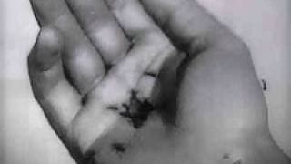 Un Chien Andalou - Trailer
