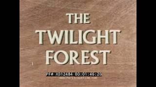 The Twilight Forest