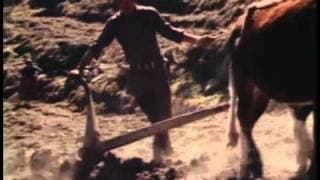 Himalayan Herders - PREVIEW