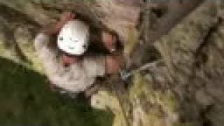 Lost Land of the Jaguar - BBC ONE