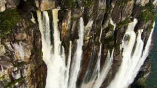 Out of the Wild: Venezuela - The Journey Begins