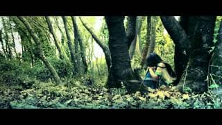 The Dragonphoenix Chronicles: Indomitable -  Teaser Trailer #1  [HD]