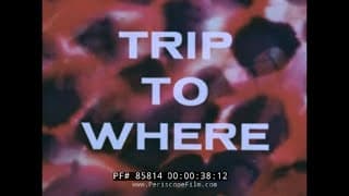 U.S. NAVY HALLUCINOGENIC DRUG SCARE FILM   LSD  TRIP TO WHERE?  85814