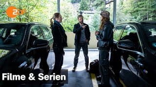 Der Geier – Freund oder Feind