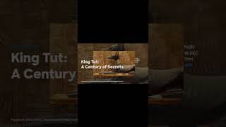 King Tut: A Century of Secrets | #tutankhamun | #kingtut | #egypt | #discoverychannelindia | #shorts