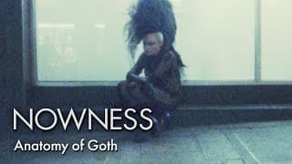 Anatomy of Goth