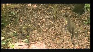 Chased By Dinosaurs Trailer