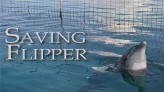 Saving Flipper - Trailer