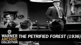 The Petrified Forest  - Trailer