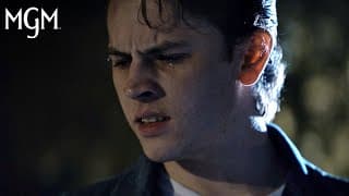 Sawtooth Jack Rises