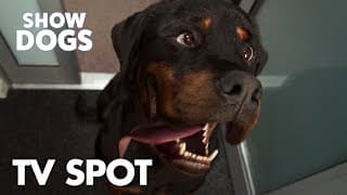"Bow Wow Review" TV Spot