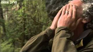 Gordon Gets Emotional After Incredible Discovery - Lost Land Of The Tiger, Episode 3 - BBC One