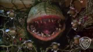 Trailer 62