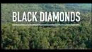 Mountaintop Removal - Black Diamonds documentary trailer