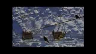 The Tangerine Dream - Ski Movie Trailer