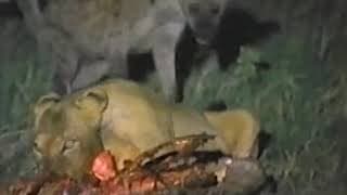 30 Years of National Geographic