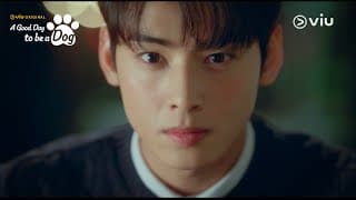 Teaser 2: Cha Eun Woo's Paw-dorable Secret! [ENG SUB]
