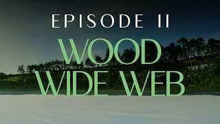 CHOOSE EARTH II - WOOD WIDE WEB