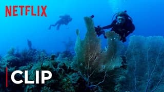 The Ocean Is Dying