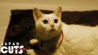 "Neko Samurai ～Samurai ♥ Cat～" trailer (English subtitles) JAPAN CUTS 2014