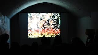 Anoche at Nomadica / Weekend with the Dead (2018)