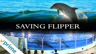 Saving Flipper | Trailer | Available Now