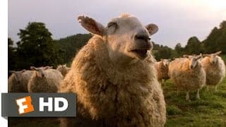 The Sheep Password