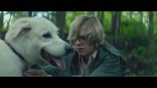 Dog Scene