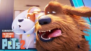 Max and Duke Go on a Road Trip!