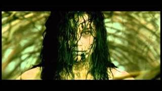 TV Spot
