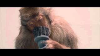 (Untitled)  - Trailer (2009)