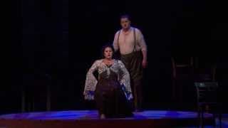 Carmen: "La fleur que tu m'avais jetée" (Antonenko)