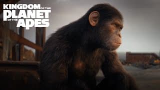 Bring Apes Home