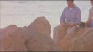 THE SINGING FOREST- a JORGE AMEER film— Official Theatrical  Trailer